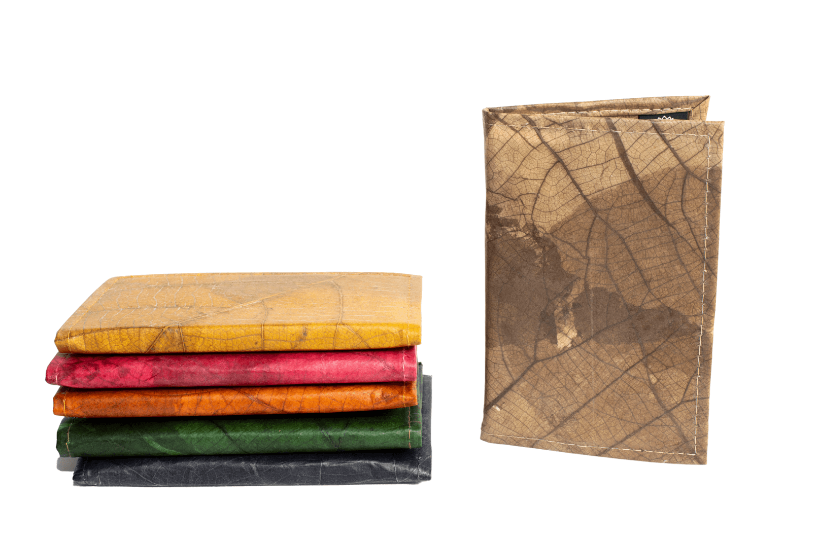 1_b2e8ee20-c896-4059-a541-14dd96b50473 - Karuna Dawn