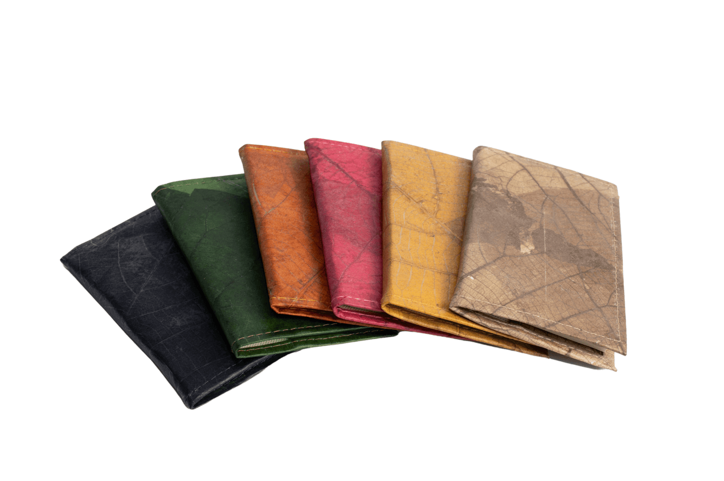 2_21baf94a-b155-4494-aa07-4605364560e6 - Karuna Dawn