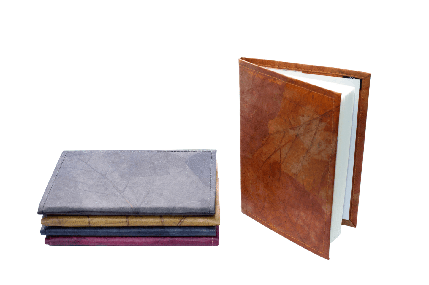 2_edc8762f-9877-42ea-aeac-8813988c422b - Karuna Dawn