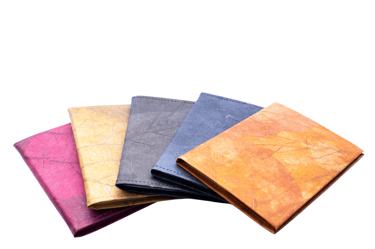 6_801b4690-dcb8-4735-abce-b31599716c2d - Karuna Dawn