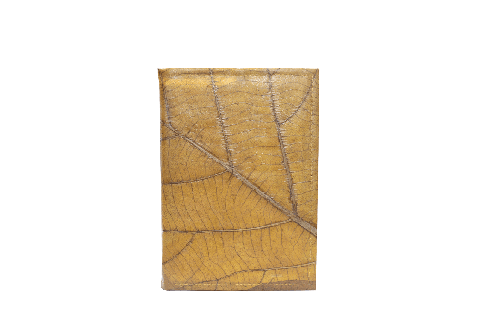 7_caf3a14e-ea10-425c-aa3b-f4ddd17e3d23 - Karuna Dawn