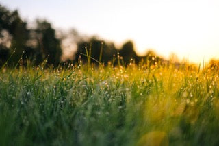 jonas-weckschmied--N_UwPdUs7E-unsplash_2 - Karuna Dawn