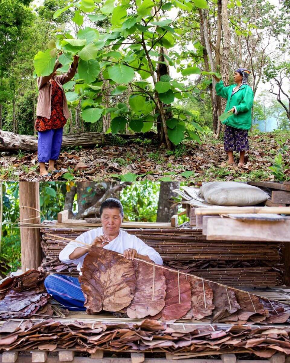 leaf-leather-making - Karuna Dawn