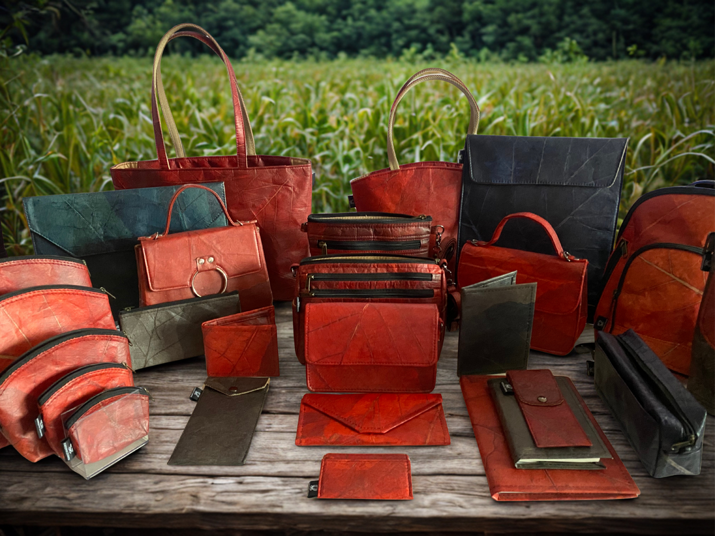 Dreams Come True Bundle | Ethical Vegan Luxury Collection – Karuna Dawn